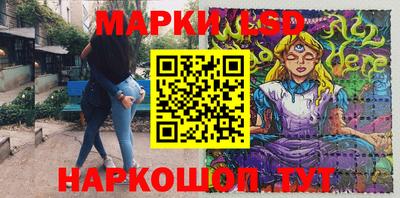 прущие грибы Гатчина