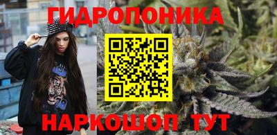 прущие грибы Гатчина