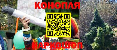 метадон Гай