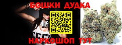 прущие грибы Гатчина