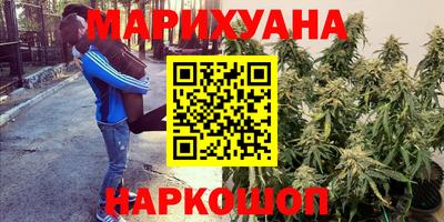 прущие грибы Гатчина
