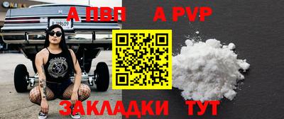 прущие грибы Гатчина