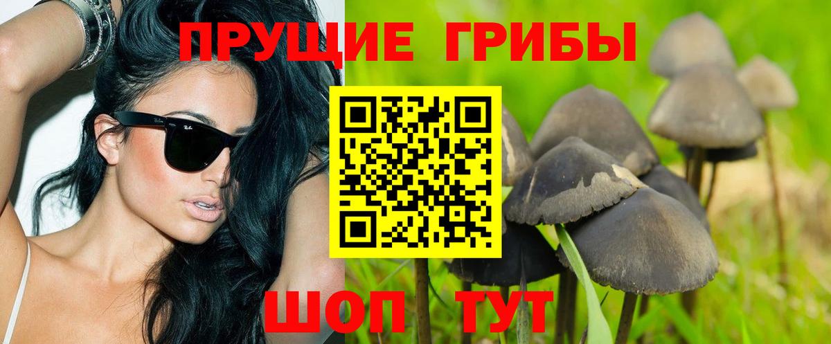 Псилоцибиновые грибы Cubensis  купить закладку  Вход с VPN  Прокопьевск  Псилоцибиновые грибы Cubensis 