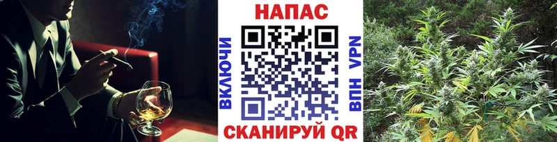 Бошки Шишки конопля  Прокопьевск 